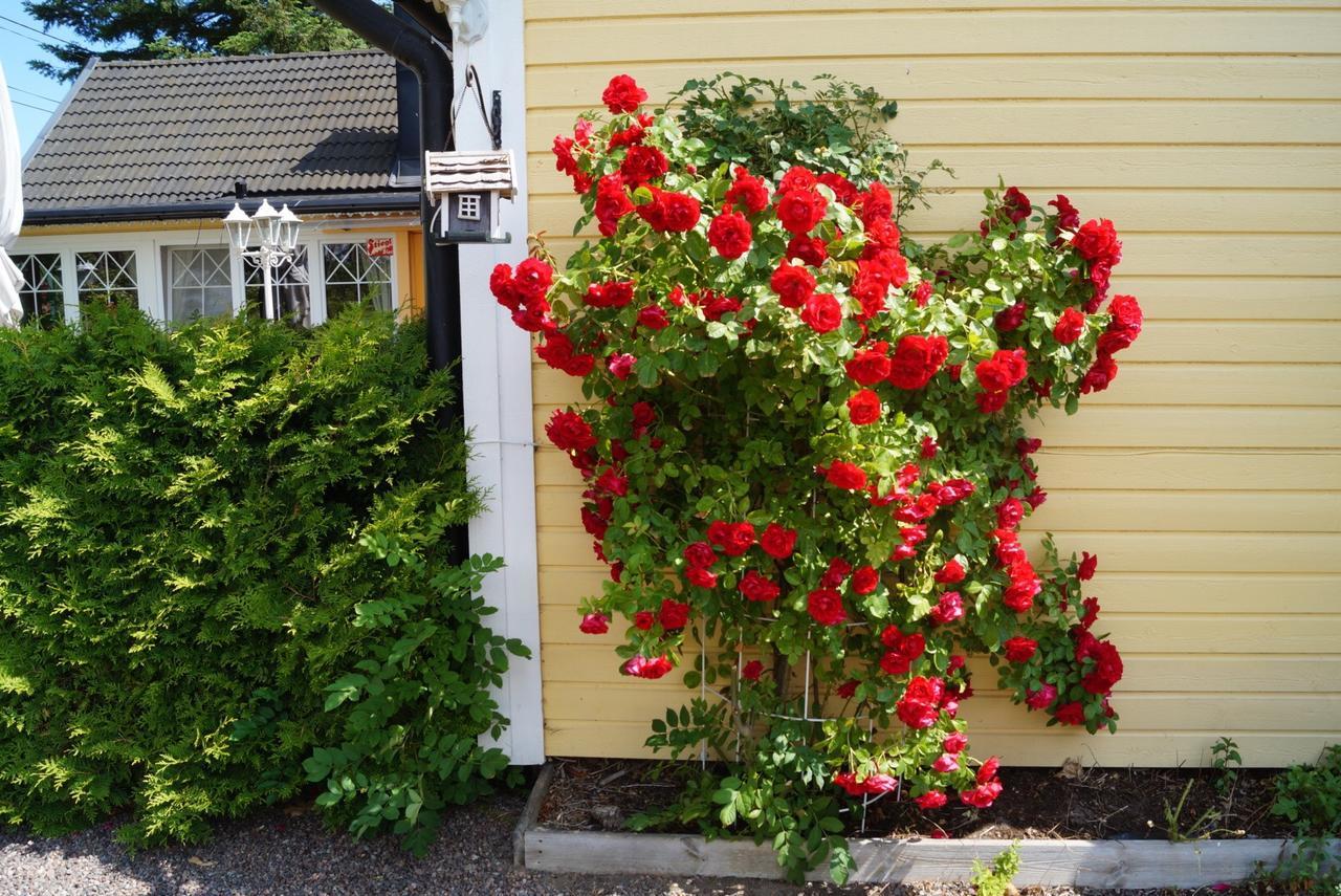 Drei Jahreszeiten Kopingsvik Exterior photo
